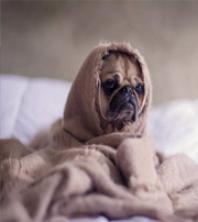 永州有这样的手机号码，留不住钱，你中枪了吗？