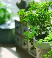 永州专属于你的开运指南，助你鸿运当头福满身！