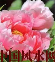 永州预示你财运上升，姻缘可成的梦境，快来看看吧！