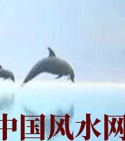 永州做梦梦到这些，是要富裕的征兆！